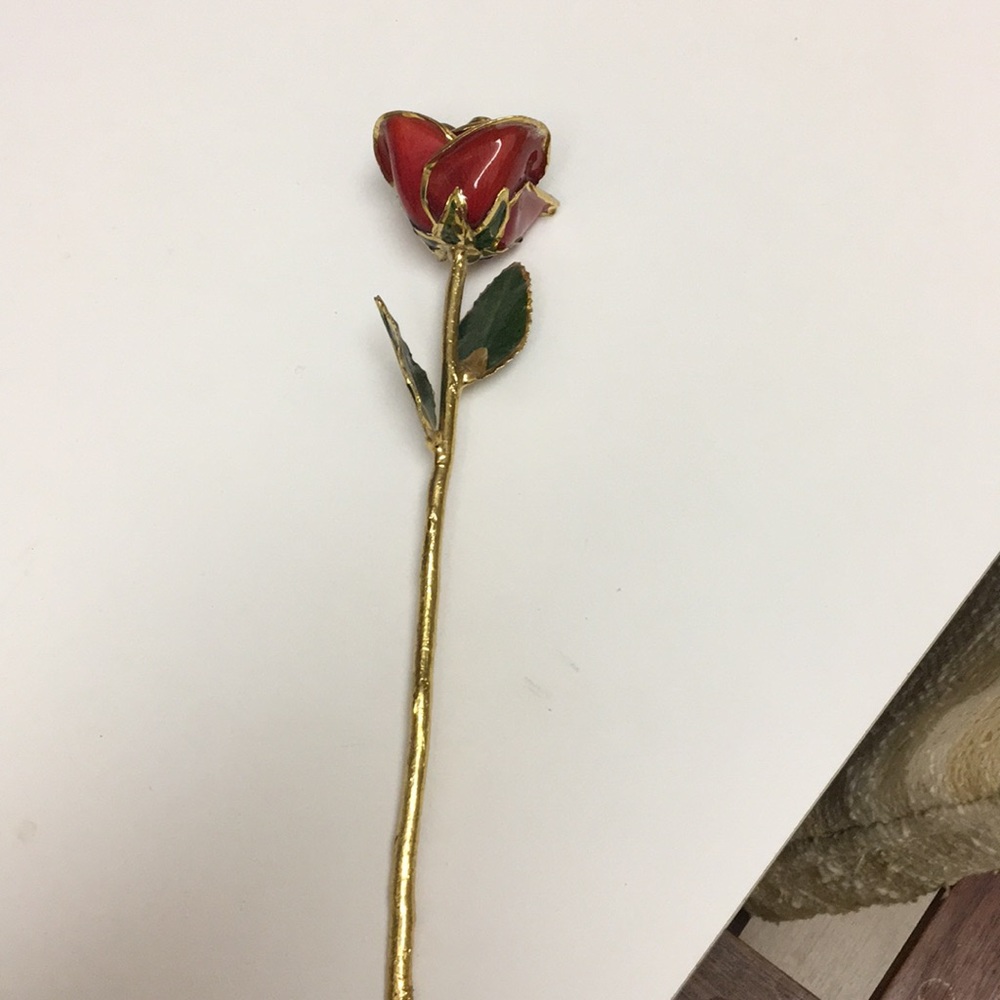 14k gold dipped rose